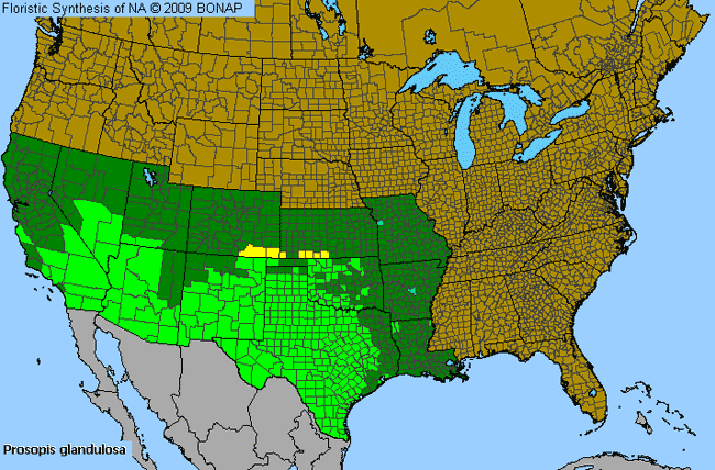 Allergies By County Map For Honey Mesquite