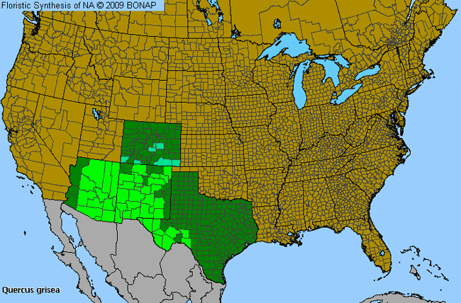 Allergies By County Map For Quercus Grisea