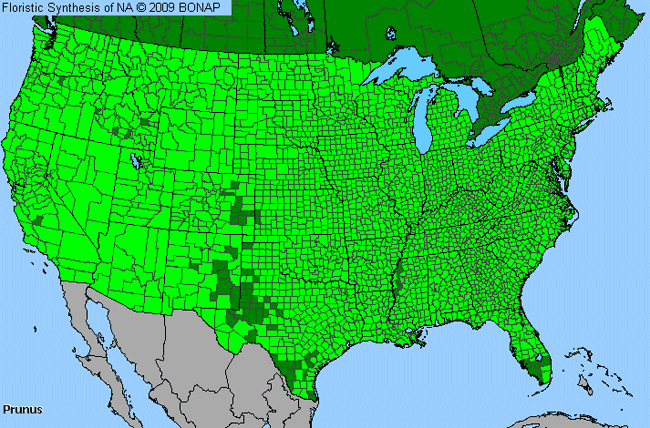 Allergies By County Map For Almond, Cherry, Peach, Plum