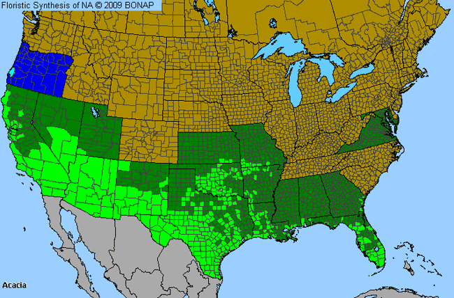 Allergies By County Map For Catclaw, Wattle