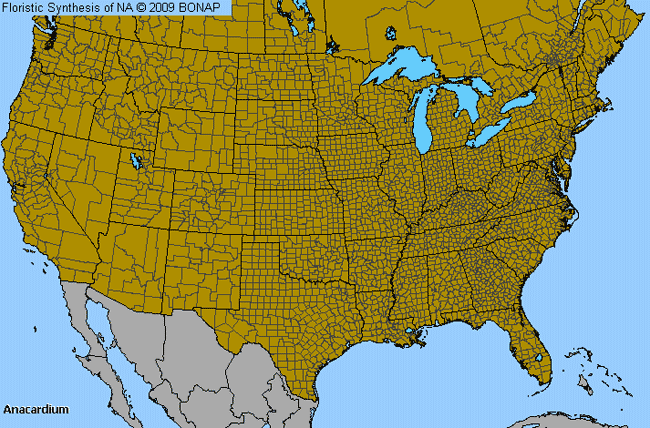 Allergies By County Map For Cashewnut