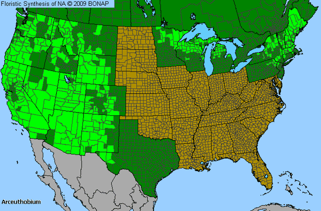 Allergies By County Map For Dwarf-Mistletoe