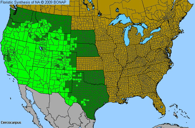 Allergies By County Map For Mountain-Mahogany