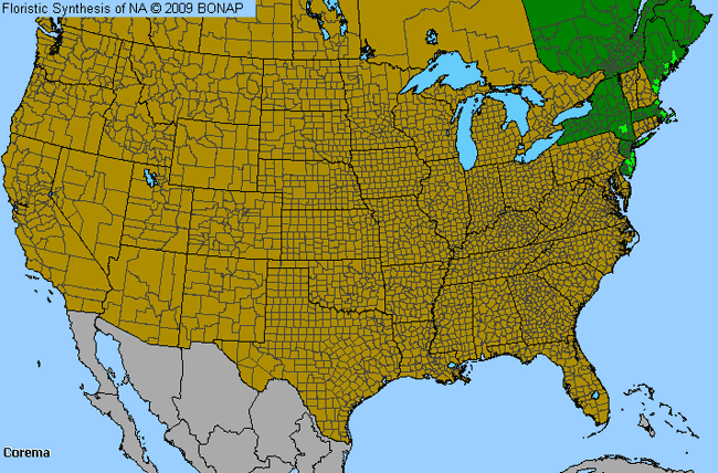 Allergies By County Map For Broom-Crowberry