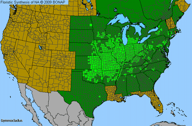 Allergies By County Map For Coffeetree