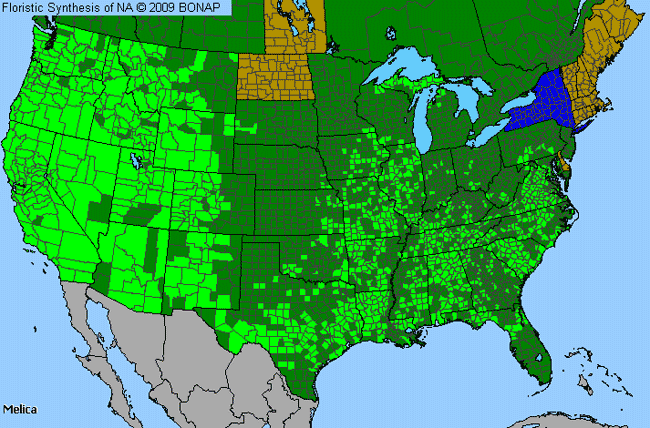 Allergies By County Map For Melic Grass