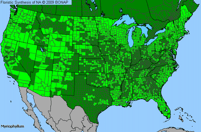 Allergies By County Map For Water-Milfoil