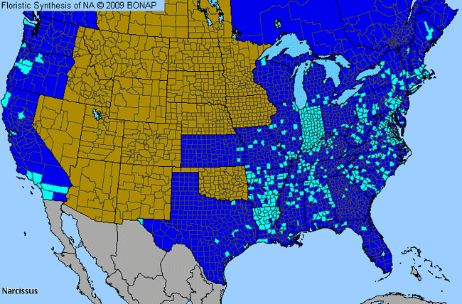 Allergies By County Map For Daffodil, Jonquil