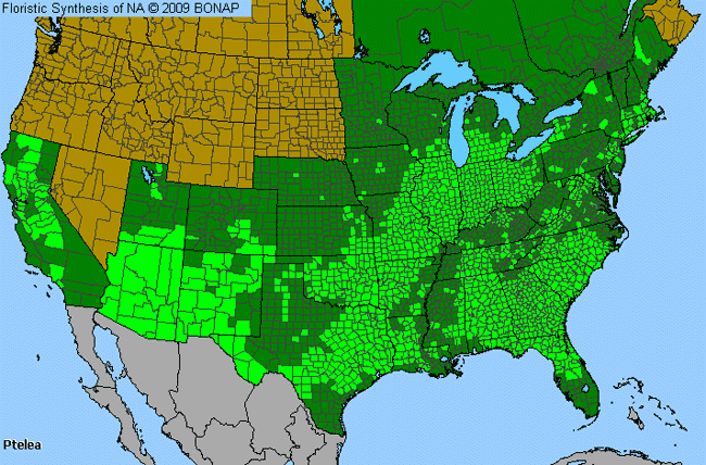 Allergies By County Map For Hoptree