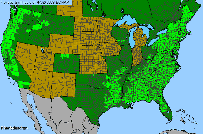 Allergies By County Map For Azalea, Rhododendron