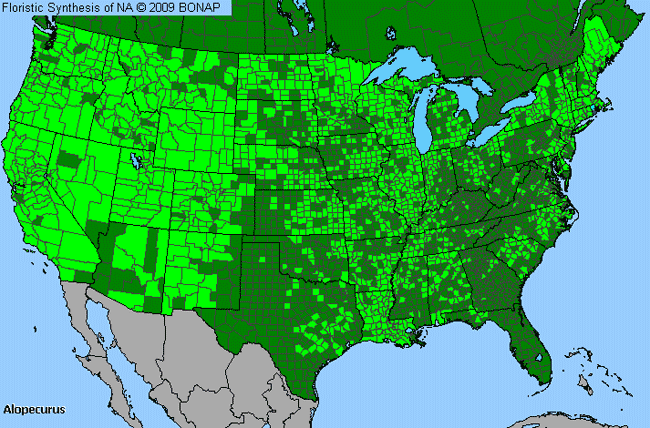 Allergies By County Map For Meadow-Foxtail