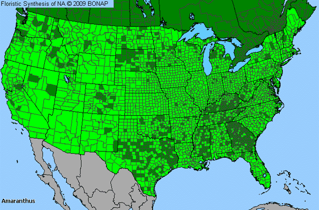 Allergies By County Map For Amaranth, Pigweed, Tumbleweed