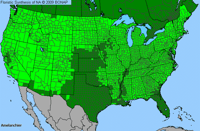 Allergies By County Map For Service-Berry