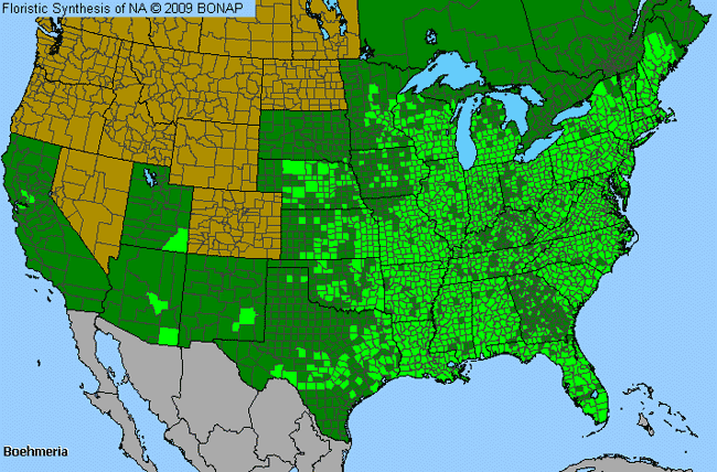 Allergies By County Map For False Nettle