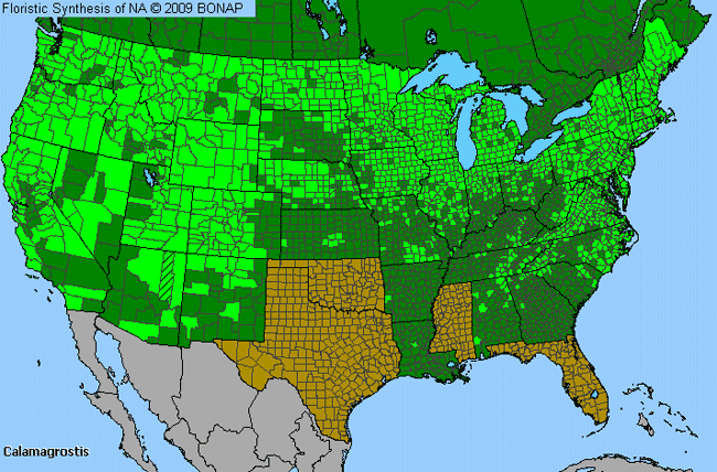 Allergies By County Map For Reed Grass