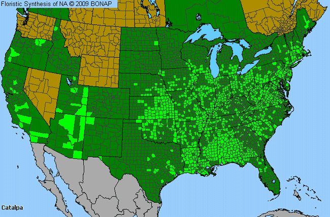 Allergies By County Map For Catalpa