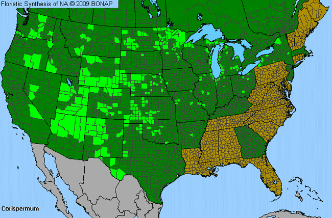 Allergies By County Map For Bugseed