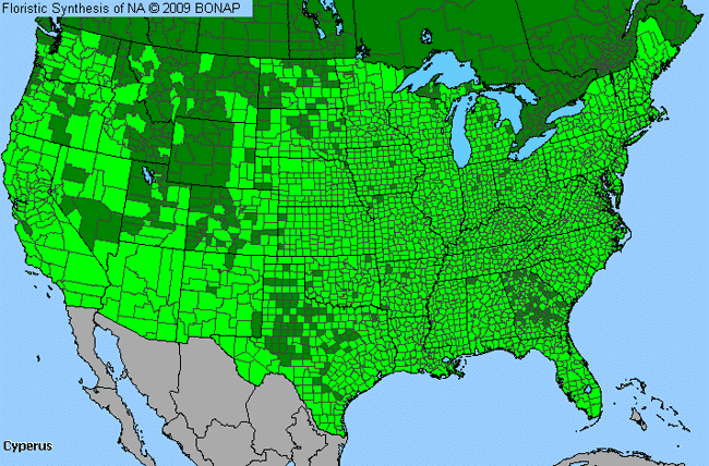 Allergies By County Map For Flat Sedge