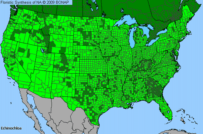 Allergies By County Map For Barnyard Grass, Cock's-Spur Grass