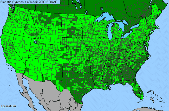 Allergies By County Map For Horsetail, Scouring-Rush