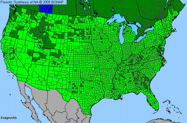Allergies By County Map For Love Grass