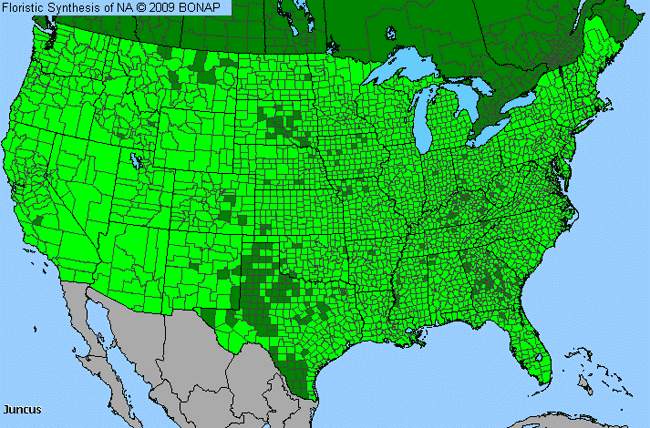 Allergies By County Map For Rush