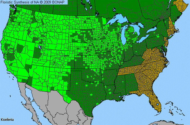 Allergies By County Map For Koeler's Grass