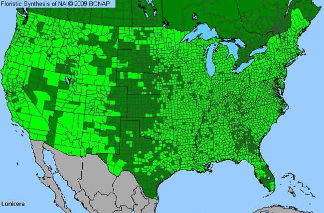 Allergies By County Map For Honeysuckle