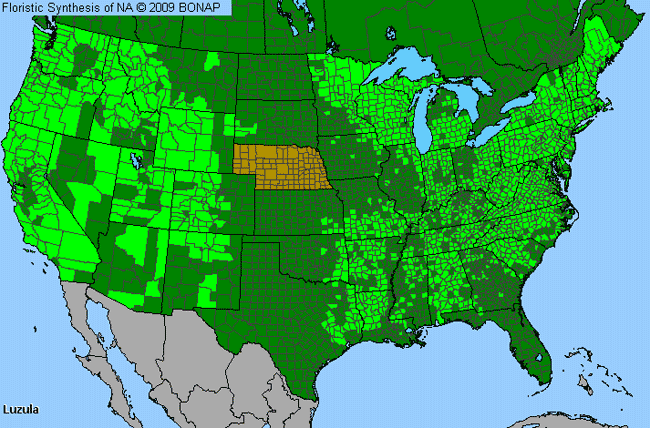 Allergies By County Map For Wood-Rush