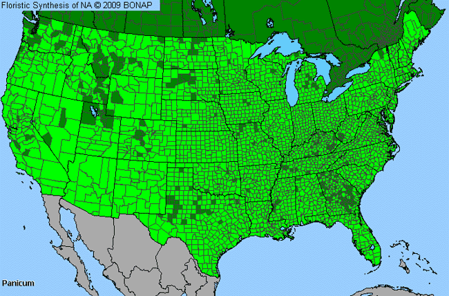 Allergies By County Map For Panic Grass