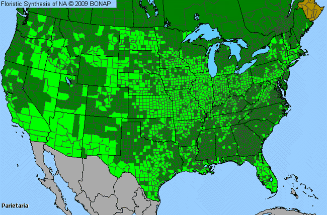 Allergies By County Map For Pellitory