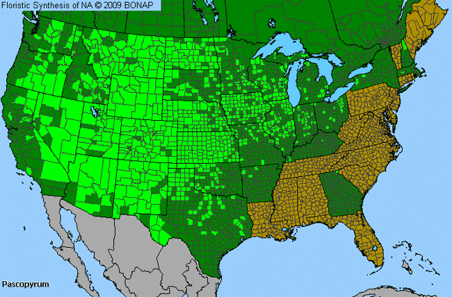 Allergies By County Map For Western-Wheat Grass