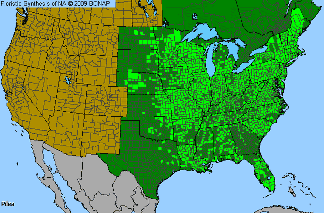 Allergies By County Map For Clearweed