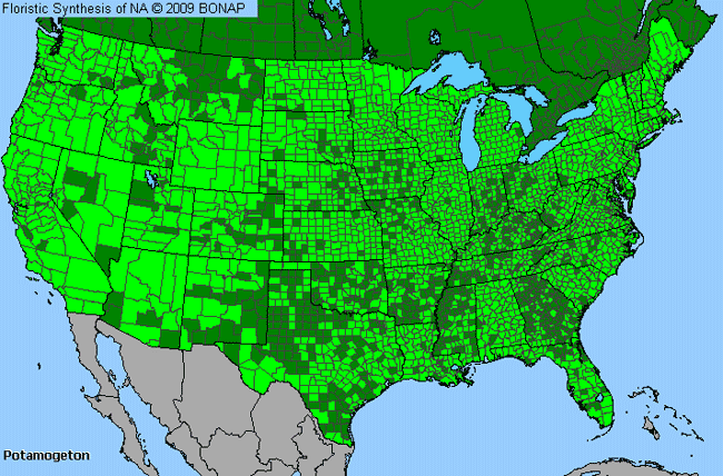 Allergies By County Map For Pondweed