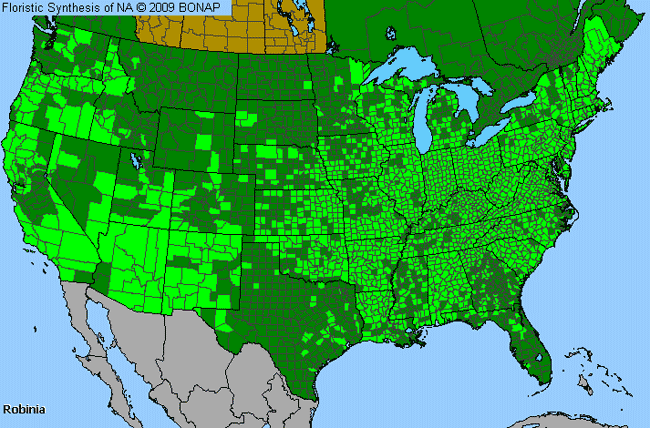 Allergies By County Map For Locust