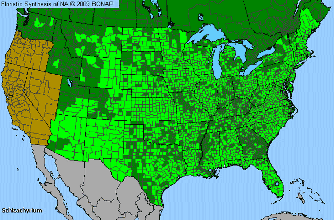 Allergies By County Map For False Bluestem