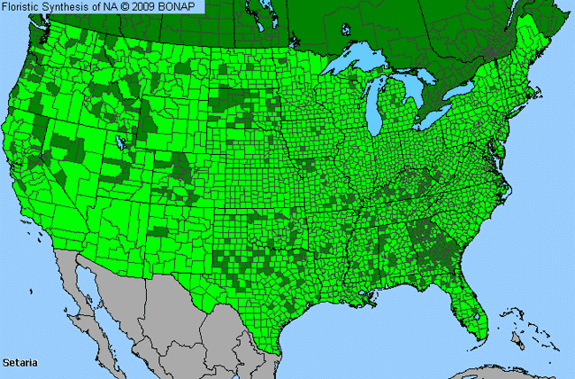 Allergies By County Map For Bristle Grass
