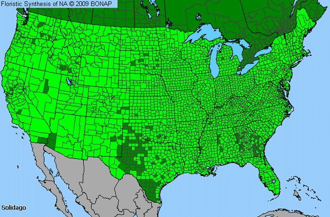 Allergies By County Map For Goldenrod