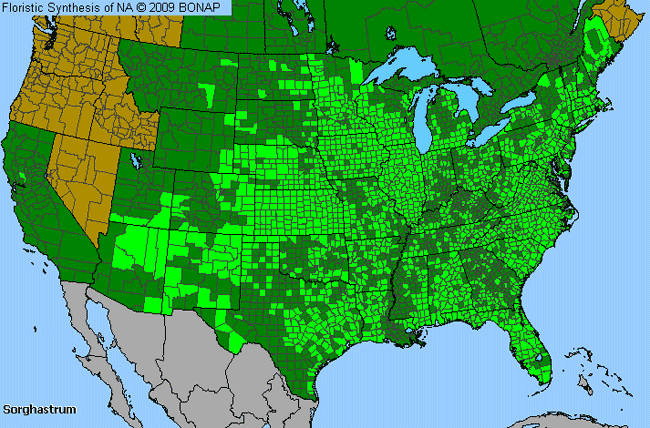 Allergies By County Map For Indian Grass