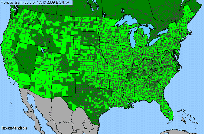 Allergies By County Map For Poison-Ivy, Poison-Oak, Poison-Sumac