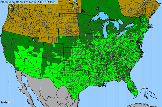 Allergies By County Map For Fluff Grass