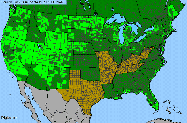 Allergies By County Map For Arrow-Grass