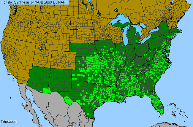 Allergies By County Map For Mock Grama