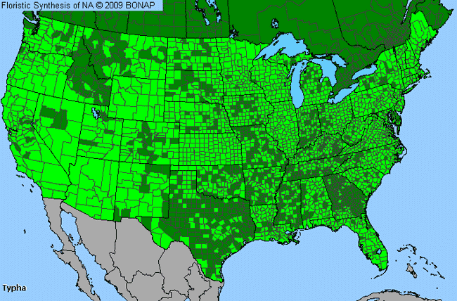 Allergies By County Map For Cat-Tail
