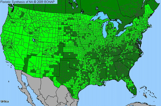 Allergies By County Map For Nettle