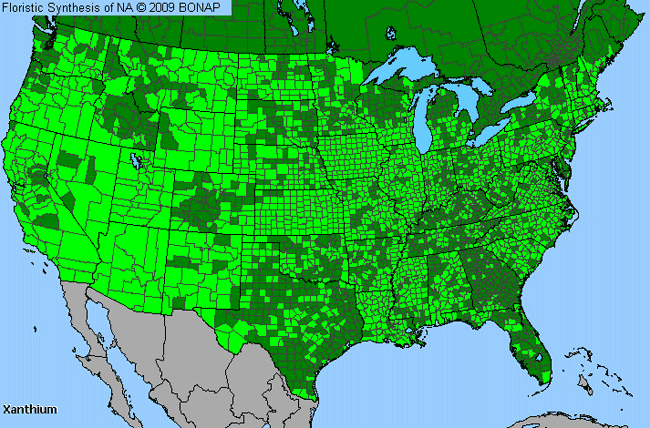 Allergies By County Map For Cockleburr