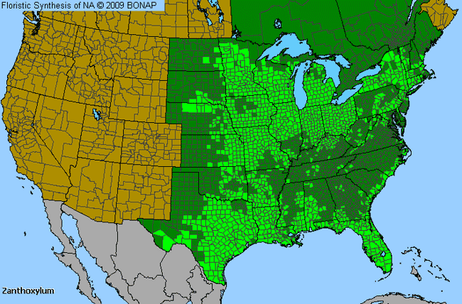 Allergies By County Map For Hercules'-Club, Prickly-Ash, Toothachetree