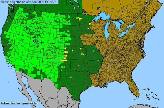 Allergies By County Map For Indian Rice Grass