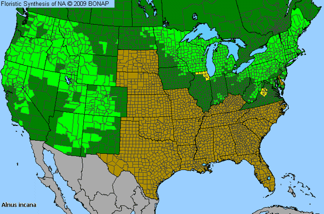 Allergies By County Map For Speckled Alder