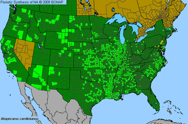 Allergies By County Map For Tufted Meadow-Foxtail
